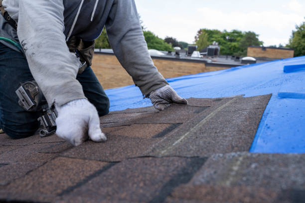 Best Roof Maintenance Services  in Refugio, TX
